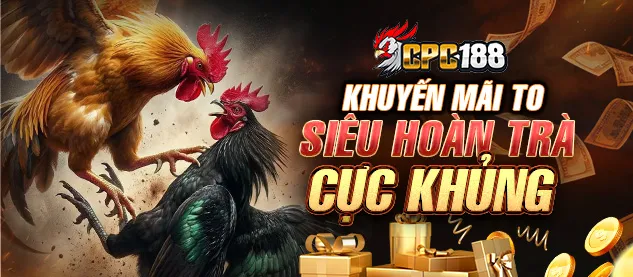 Khuyến mãi 4