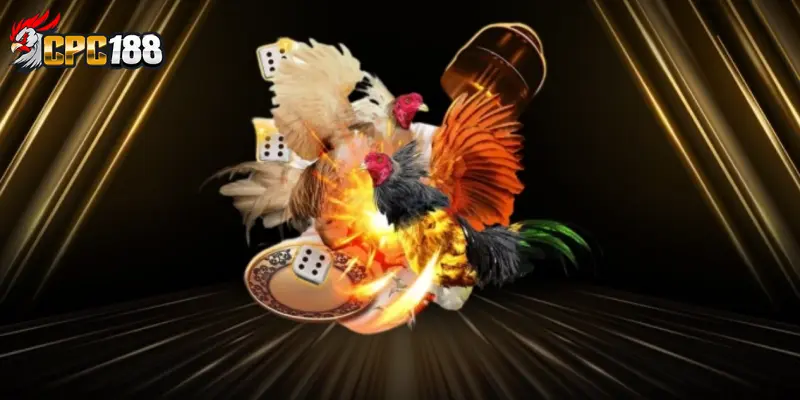 Đăng Nhập CPC188 Cực Nhanh Để Nhận Thưởng Tân Thủ 7 Câu hỏi thường gặp CPC188 về đăng nhập