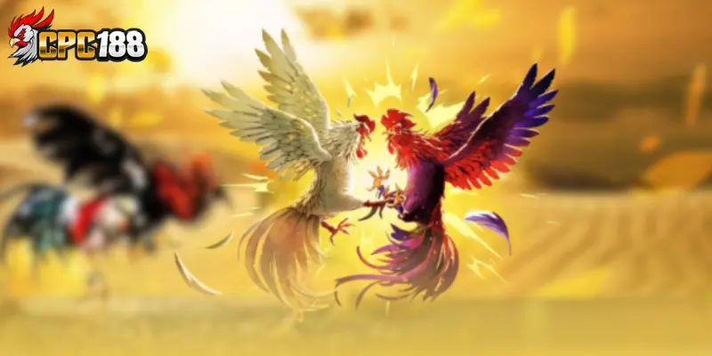 Nền tảng cung cấp nhiều ưu đãi độc quyền